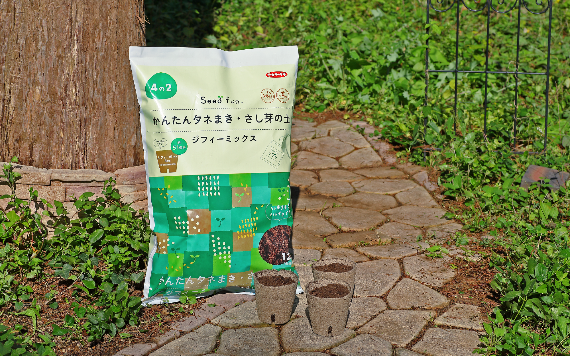 商品紹介画像
