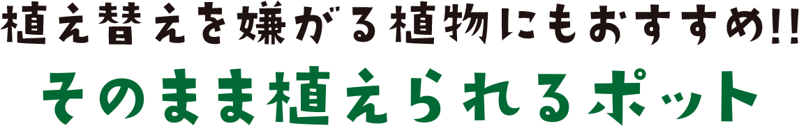 植え替えを嫌がられる植物にもおすすめ!!そのまま植えられるポット