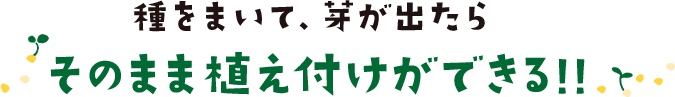 種をまいて、芽が出たらそのまま植え付けができる!!
