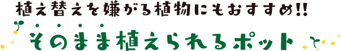 植え替えを嫌がられる植物にもおすすめ!!そのまま植えられるポット