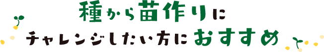 種から苗作りにチャレンジしたい方におすすめ