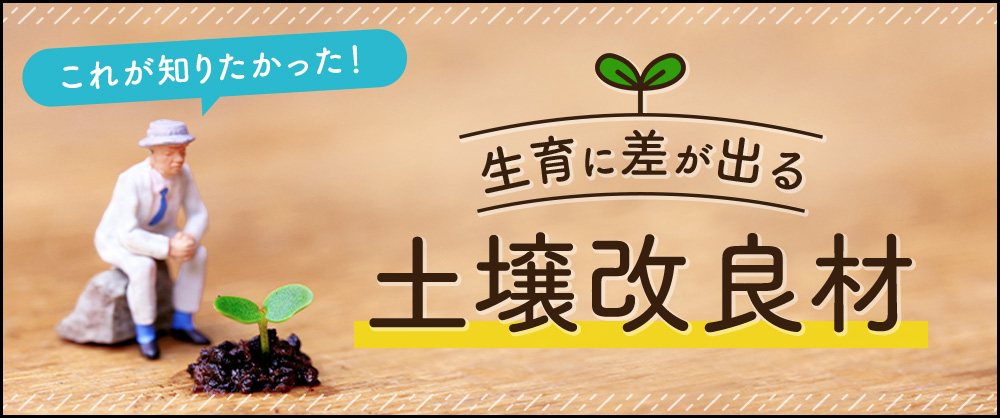 これが知りたかった！生育に差が出る「土壌改良材」