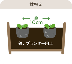 鉢植え