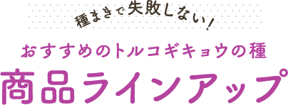 種まきで失敗しない！おすすめのトルコギキョウの種 商品ラインアップ