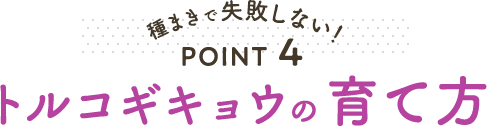 種まきで失敗しない！ POINT4 トルコギキョウの育て方