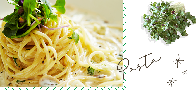 Pasta