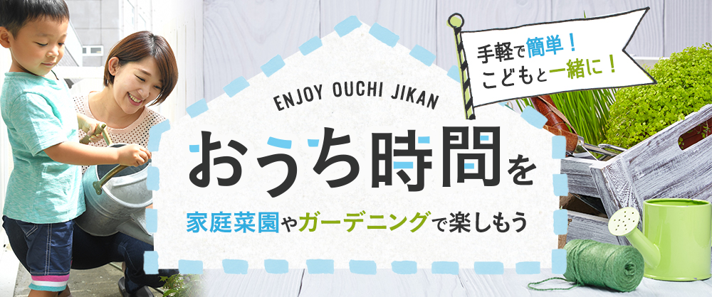 おうち時間を家庭菜園やガーデニングで楽しもう