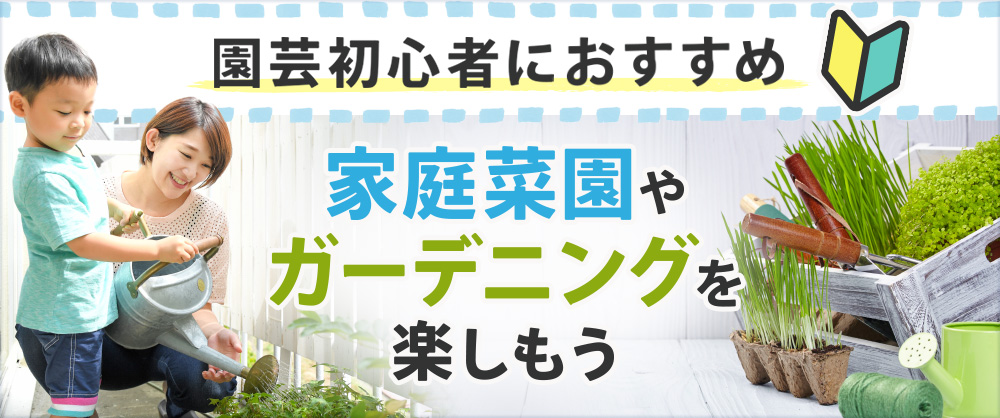 園芸初心者におすすめ 家庭菜園やガーデニングを楽しもう
