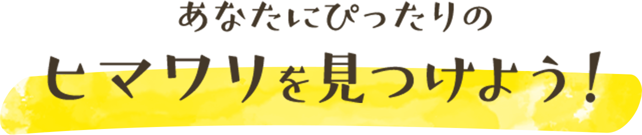 あなたにぴったりのヒマワリを見つけよう!
