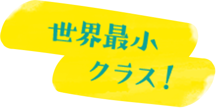 世界最小クラス!