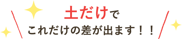 土だけでこれだけの差が出ます！！