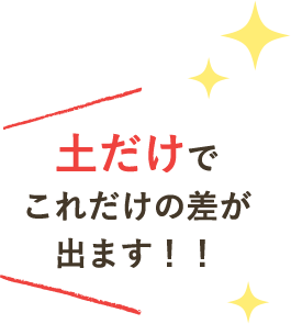 土だけでこれだけの差が出ます！！