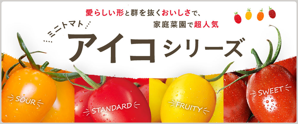 ミニトマト アイコシリーズ