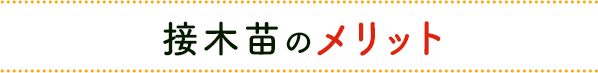 接木苗のメリット