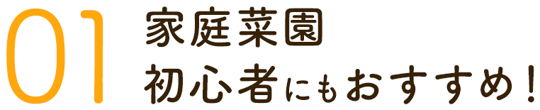01.家庭菜園初心者にもおすすめ!