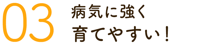 03.病気に強く育てやすい!