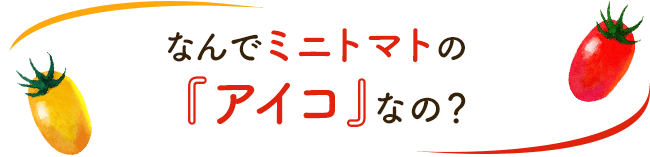 なんでミニトマトの『アイコ』なの?
