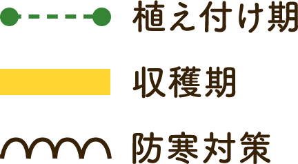 植え付け期・収穫期・防寒対策