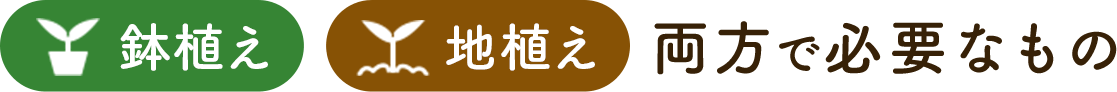鉢植え・地植え両方で必要なもの