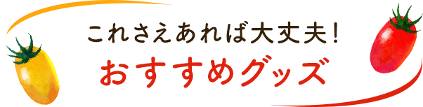 これさえあれば大丈夫!おすすめグッズ