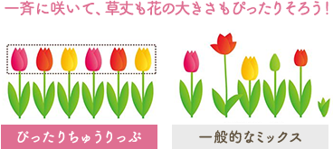 サンプル
