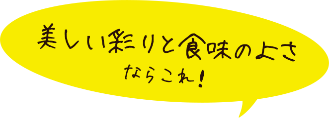 美しい彩りと食味のよさならこれ!