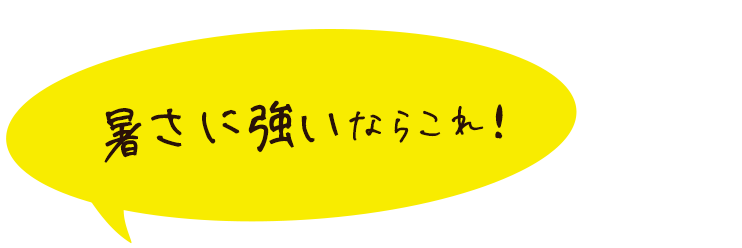 暑さに強いならこれ!