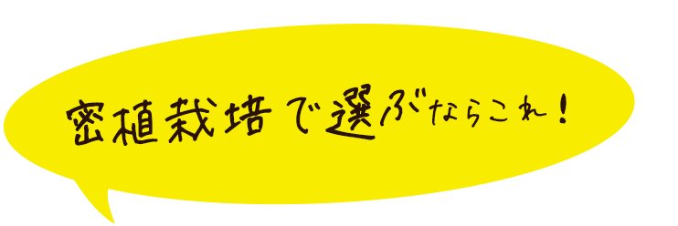 密植栽培で選ぶならこれ!