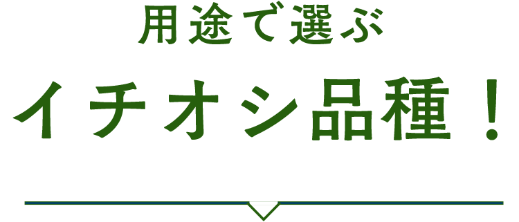 用途で選ぶ イチオシ品種!