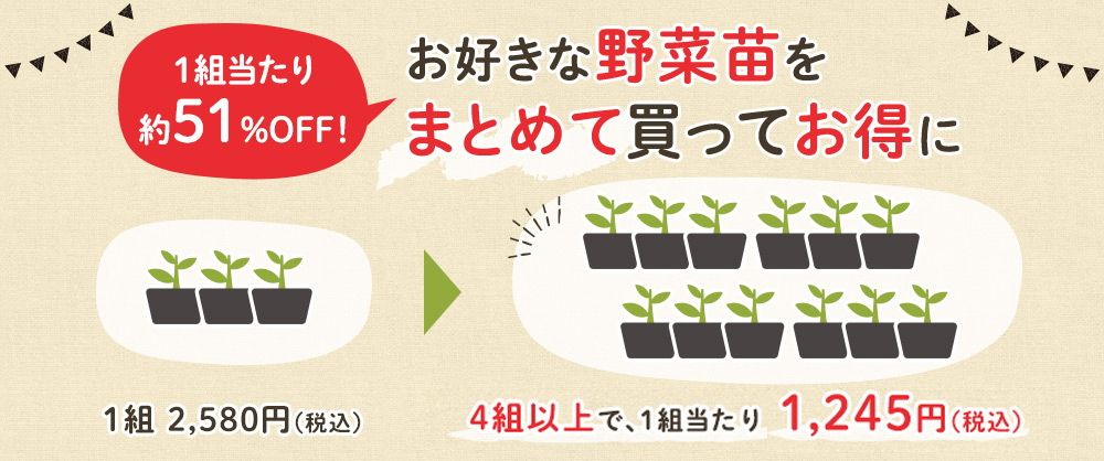 来年の苗を予約して安心 野菜苗 来春の予約販売