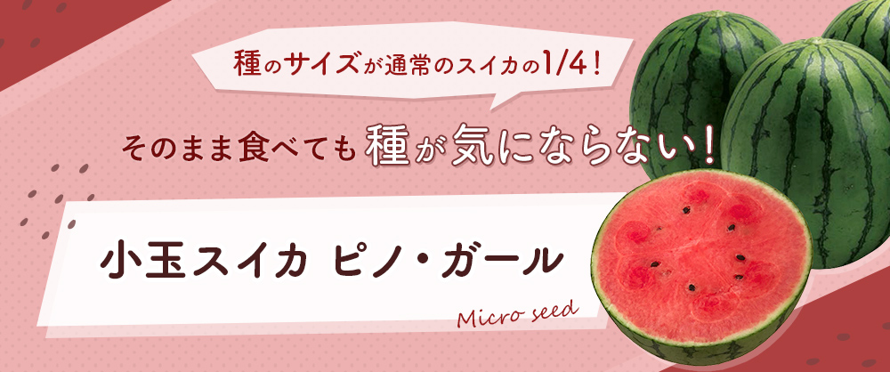 そのまま食べても種が気にならない スイカ ピノ・ガール