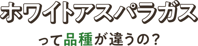 ホワイトアスパラガスって品種が違うの？