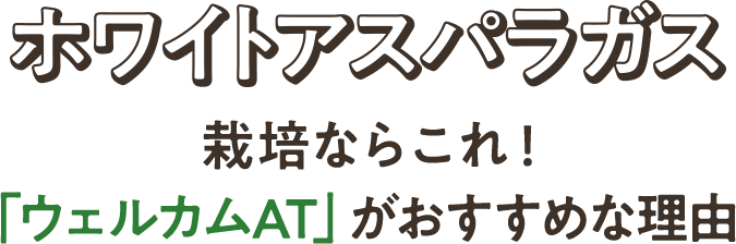 ホワイトアスパラガス栽培ならこれ！「ウェルカムAT」がおすすめな理由