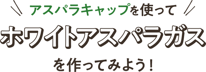 アスパラキャップを使ってホワイトアスパラガスを作ってみよう！
