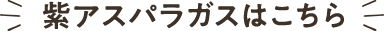 紫アスパラガスはこちら