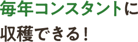 毎年コンスタントに収穫できる！