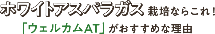ホワイトアスパラガス栽培ならこれ！「ウェルカムAT」がおすすめな理由
