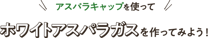アスパラキャップを使ってホワイトアスパラガスを作ってみよう！