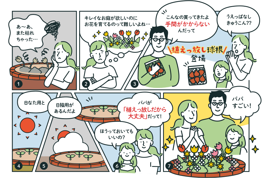 ママ「あーあ、また枯れちゃった…」／ママ「キレイなお庭が欲しいのにお花を育てるのって難しいよね…」／パパ「こんなの買ってきたよ。手間がかからないんだって。」ママ「うえっぱなしきゅうこん？？」　植えっ放し球根登場　パパ「ひなた用と日陰用があるんだよ」／娘「ほうっておいてもいいの？」ママ「パパが植えっ放しだから大丈夫だって！」／娘「パパすごい！」