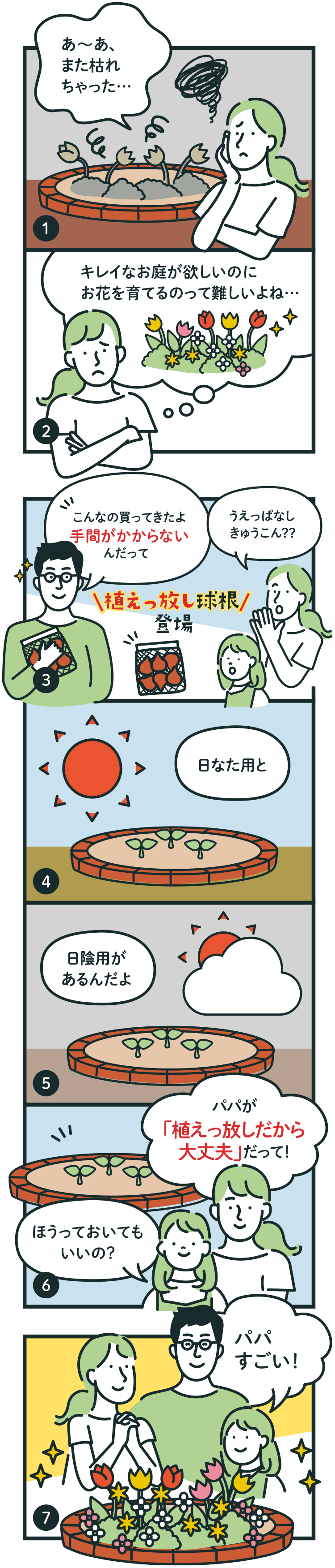 ママ「あーあ、また枯れちゃった…」／ママ「キレイなお庭が欲しいのにお花を育てるのって難しいよね…」／パパ「こんなの買ってきたよ。手間がかからないんだって。」ママ「うえっぱなしきゅうこん？？」　植えっ放し球根登場　パパ「ひなた用と日陰用があるんだよ」／娘「ほうっておいてもいいの？」ママ「パパが植えっ放しだから大丈夫だって！」／娘「パパすごい！」