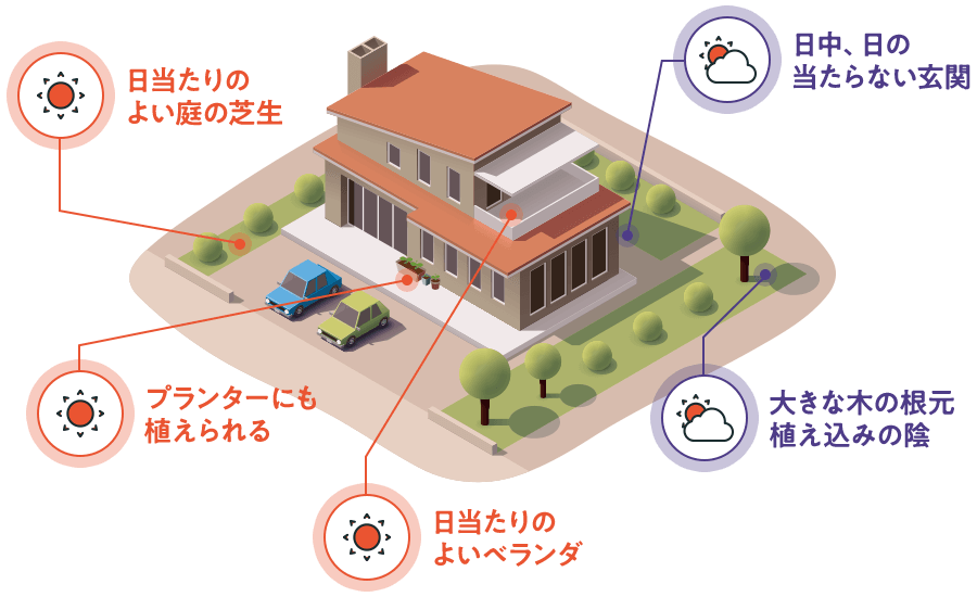 日当たりのよい庭の芝生／プランターにも植えられる／日当たりのよいベランダ／日中、日の当たらない玄関／大きな木の根元植込みの陰