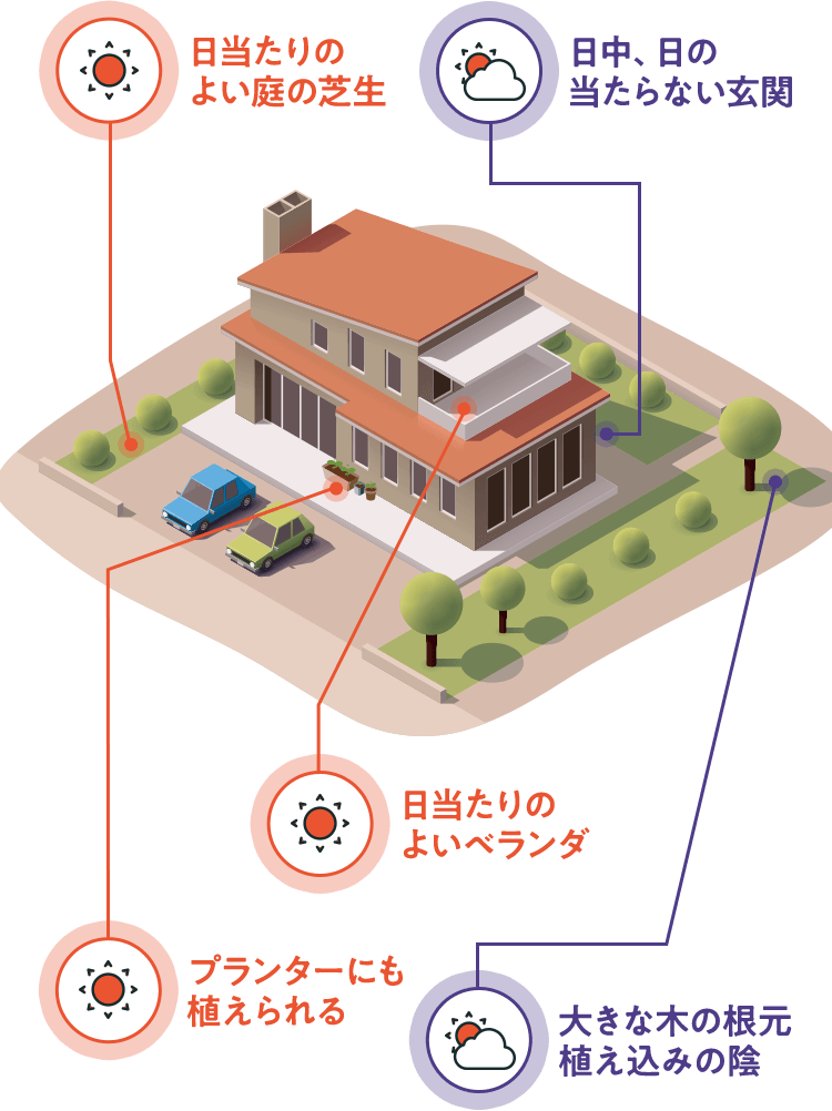 日当たりのよい庭の芝生／プランターにも植えられる／日当たりのよいベランダ／日中、日の当たらない玄関／大きな木の根元植込みの陰