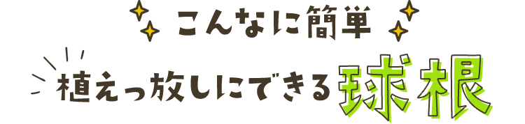 こんなに簡単！植えっ放しにできる球根