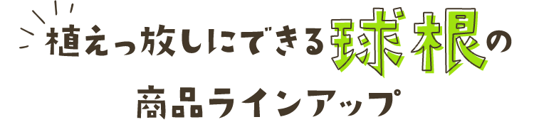 植えっぱなしにできる球根 商品ラインアップ