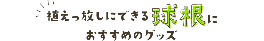 植えっ放しにできる球根におすすめのグッズ