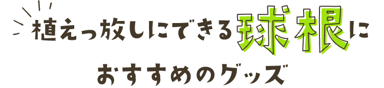 植えっ放しにできる球根におすすめのグッズ