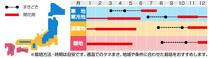 よく咲くスミレ 種まきカレンダー ※栽培方法・時期は目安です。適温でのタネまき、地域や条件に合わせた栽培をおすすめします。