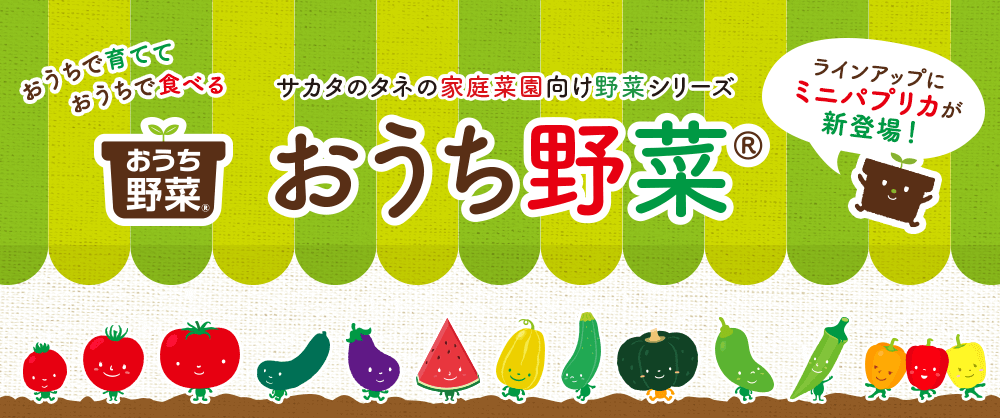 おうちで育てて、おうちで食べる サカタのタネの家庭菜園向け野菜シリーズ おうち野菜(R)