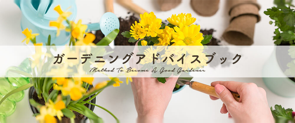 カーデニングアドバイスブック
