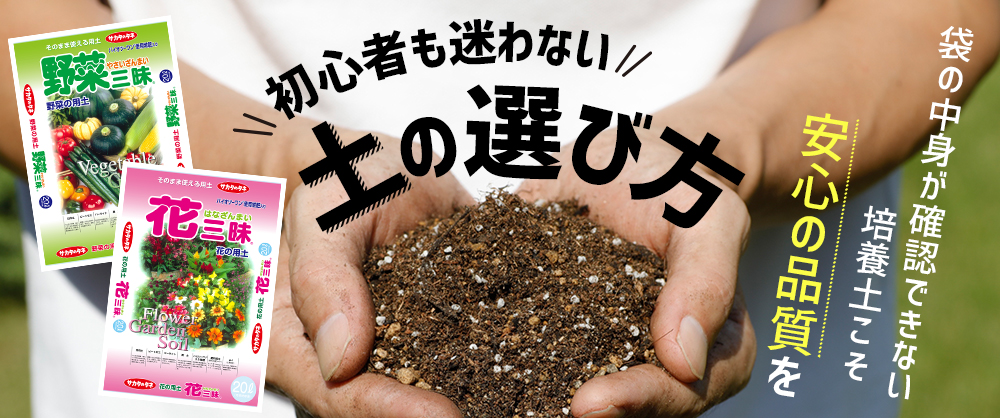 初心者も悩まない土の選び方